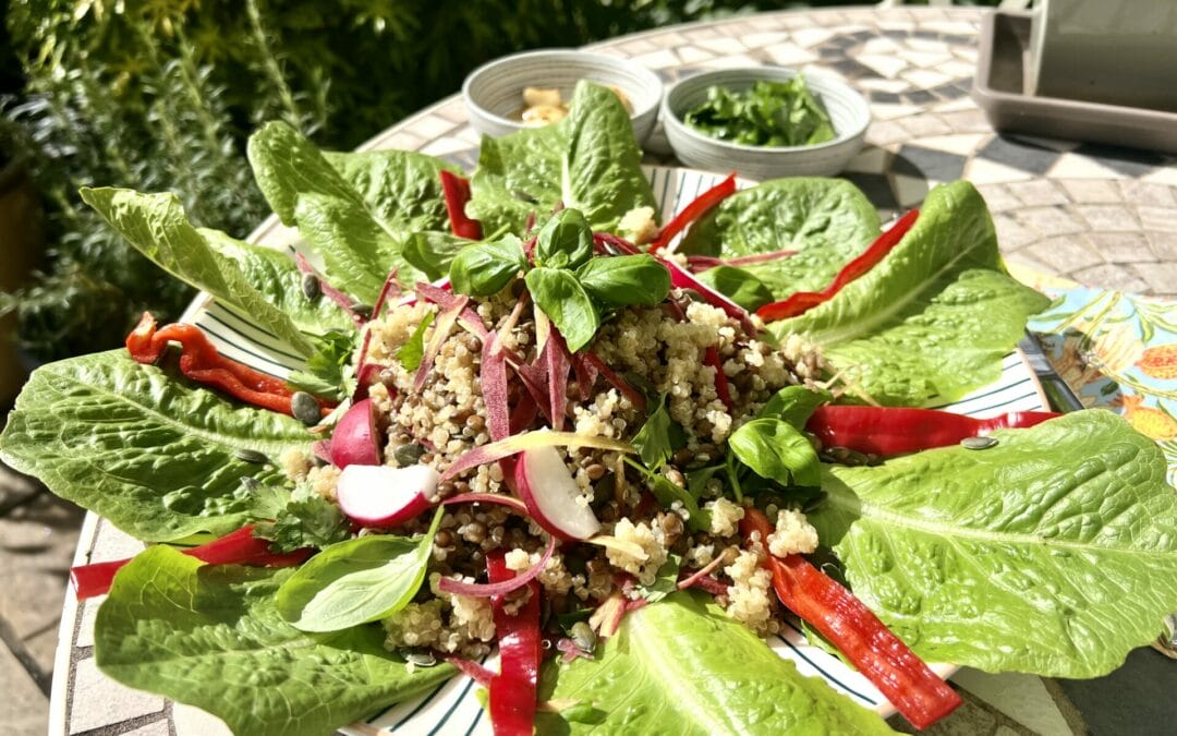 Quinoa & Lentil Summer Salad with Romaine Lettuce